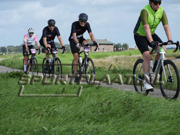 D3084.jpg